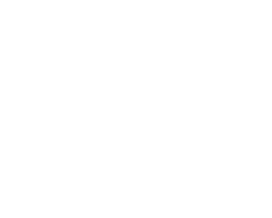 European electronics retailer partner