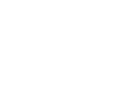 Mobile carrier chain customer