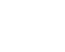 Department store group partner
