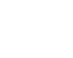Telecommunications provider