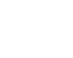 Global retail security integrator