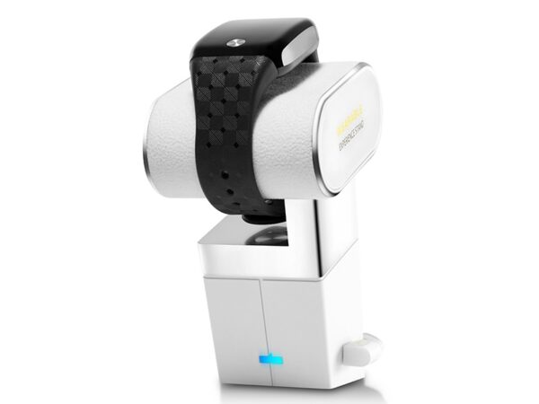Wearable & Smart Watch Security Stand